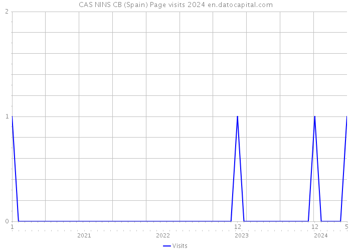 CAS NINS CB (Spain) Page visits 2024 