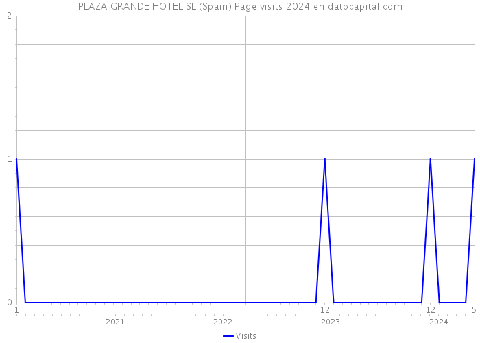 PLAZA GRANDE HOTEL SL (Spain) Page visits 2024 