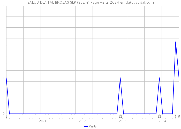 SALUD DENTAL BROZAS SLP (Spain) Page visits 2024 