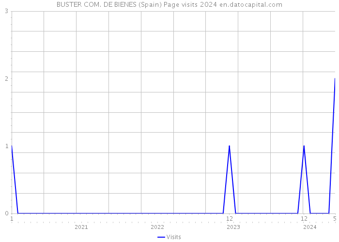 BUSTER COM. DE BIENES (Spain) Page visits 2024 