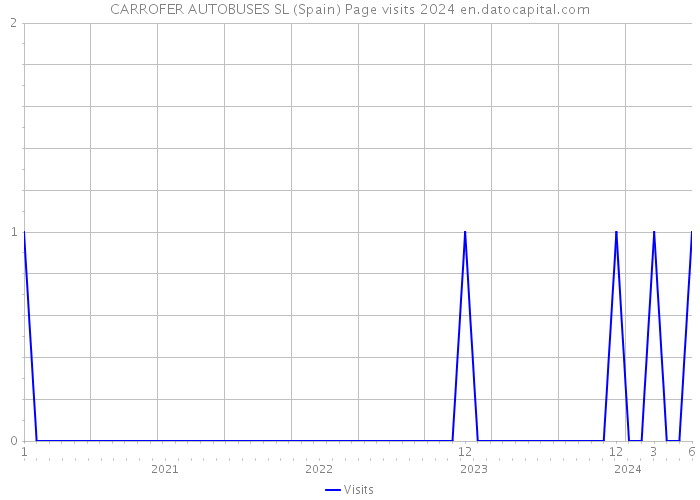 CARROFER AUTOBUSES SL (Spain) Page visits 2024 
