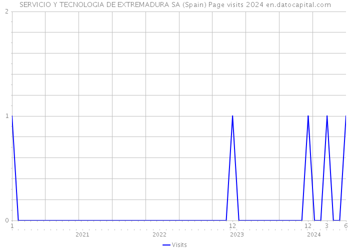 SERVICIO Y TECNOLOGIA DE EXTREMADURA SA (Spain) Page visits 2024 
