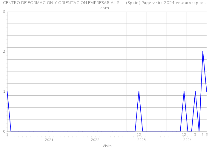 CENTRO DE FORMACION Y ORIENTACION EMPRESARIAL SLL. (Spain) Page visits 2024 