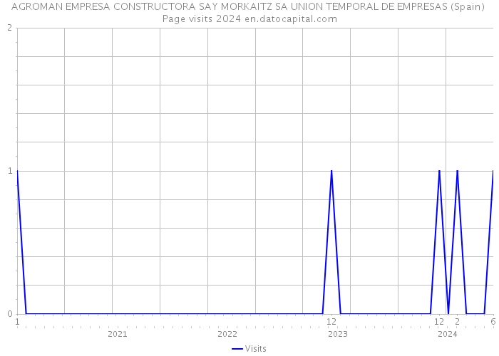 AGROMAN EMPRESA CONSTRUCTORA SAY MORKAITZ SA UNION TEMPORAL DE EMPRESAS (Spain) Page visits 2024 