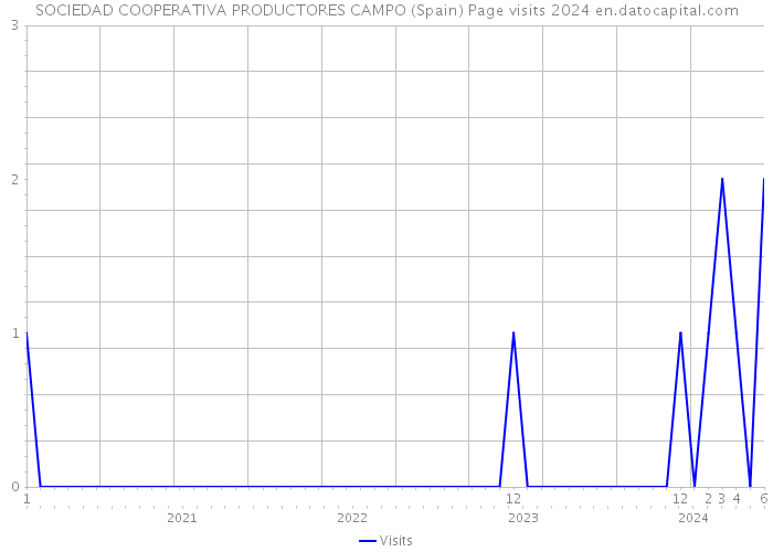 SOCIEDAD COOPERATIVA PRODUCTORES CAMPO (Spain) Page visits 2024 
