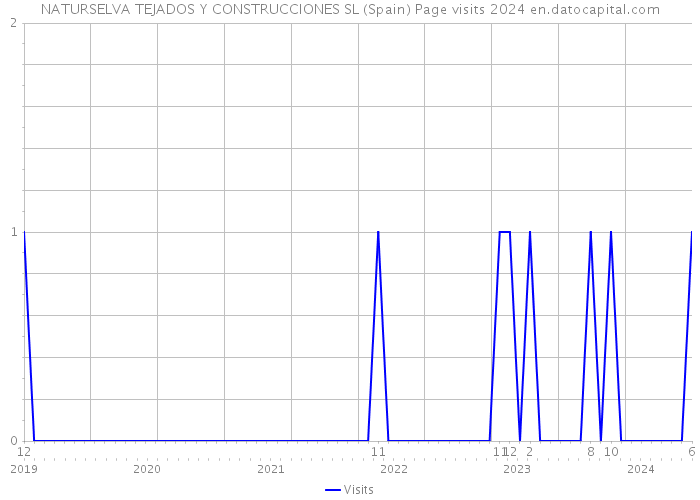 NATURSELVA TEJADOS Y CONSTRUCCIONES SL (Spain) Page visits 2024 