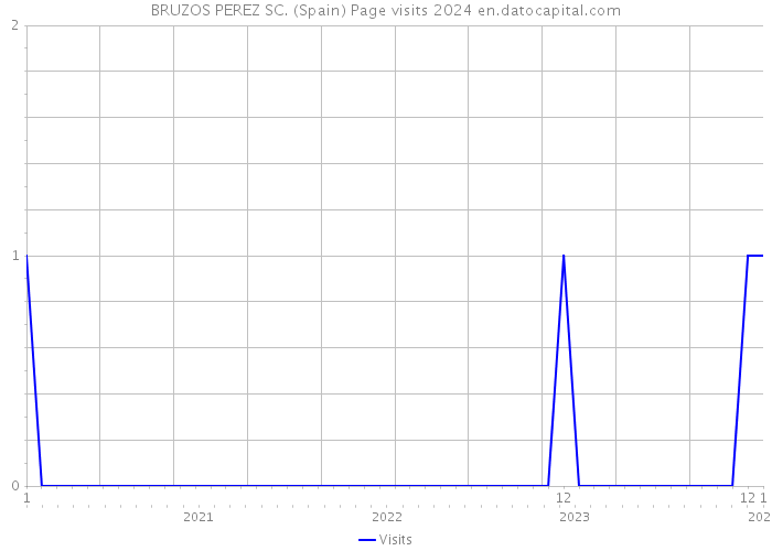 BRUZOS PEREZ SC. (Spain) Page visits 2024 