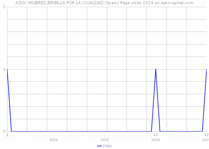 ASOC MUJERES JERIBILLA POR LA IGUALDAD (Spain) Page visits 2024 