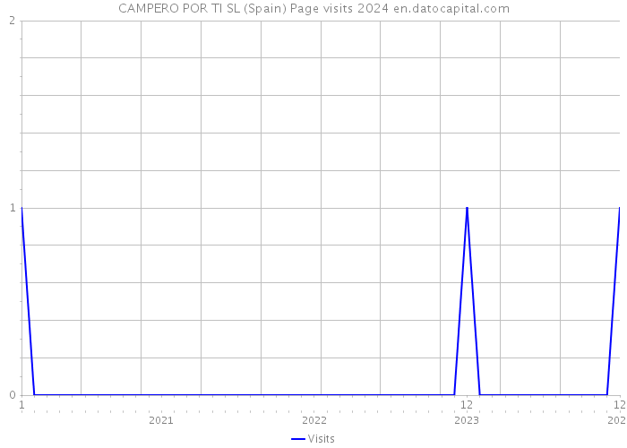 CAMPERO POR TI SL (Spain) Page visits 2024 