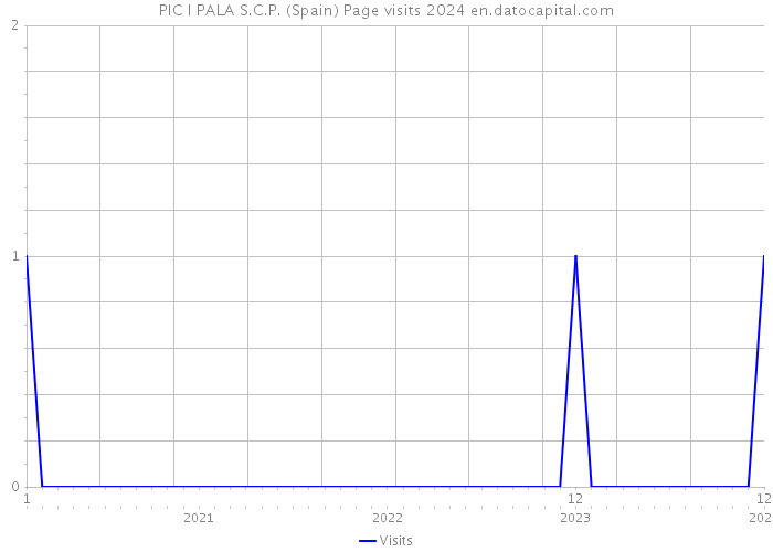 PIC I PALA S.C.P. (Spain) Page visits 2024 