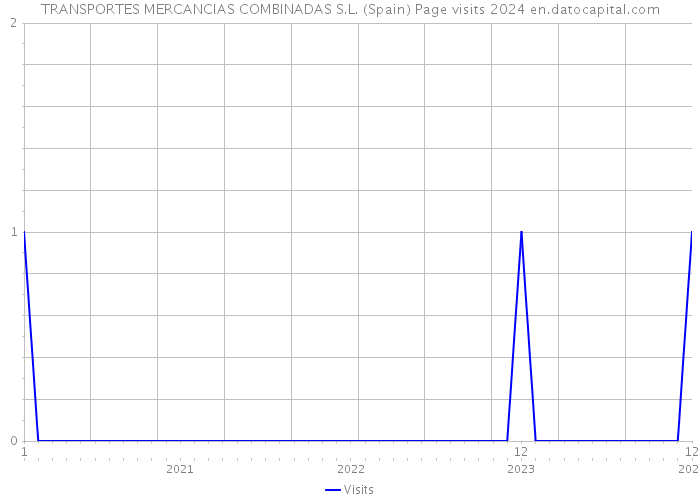 TRANSPORTES MERCANCIAS COMBINADAS S.L. (Spain) Page visits 2024 