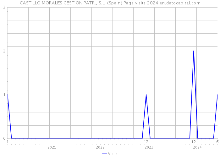 CASTILLO MORALES GESTION PATR., S.L. (Spain) Page visits 2024 