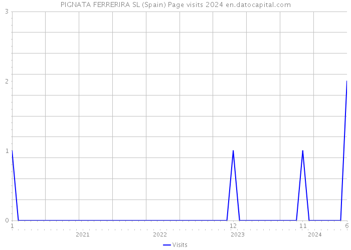 PIGNATA FERRERIRA SL (Spain) Page visits 2024 