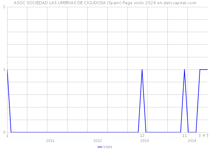 ASOC SOCIEDAD LAS UMBRIAS DE CIGUDOSA (Spain) Page visits 2024 