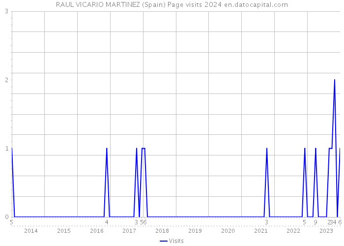RAUL VICARIO MARTINEZ (Spain) Page visits 2024 