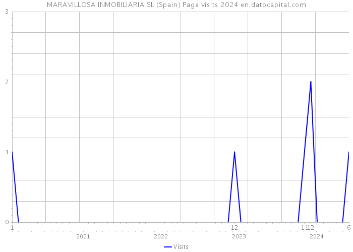 MARAVILLOSA INMOBILIARIA SL (Spain) Page visits 2024 