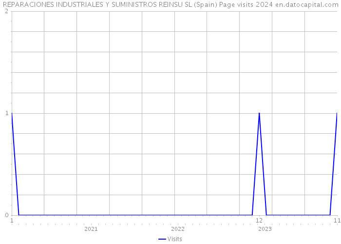 REPARACIONES INDUSTRIALES Y SUMINISTROS REINSU SL (Spain) Page visits 2024 