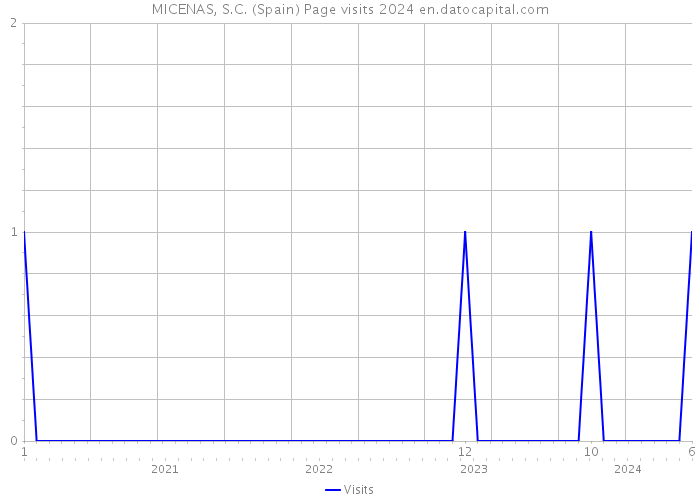MICENAS, S.C. (Spain) Page visits 2024 