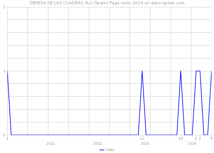 DEHESA DE LAS CUADRAS SLU (Spain) Page visits 2024 