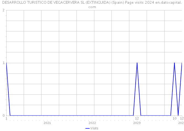 DESARROLLO TURISTICO DE VEGACERVERA SL (EXTINGUIDA) (Spain) Page visits 2024 