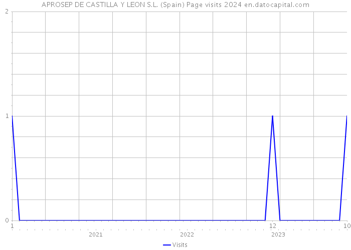 APROSEP DE CASTILLA Y LEON S.L. (Spain) Page visits 2024 