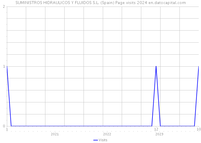 SUMINISTROS HIDRAULICOS Y FLUIDOS S.L. (Spain) Page visits 2024 