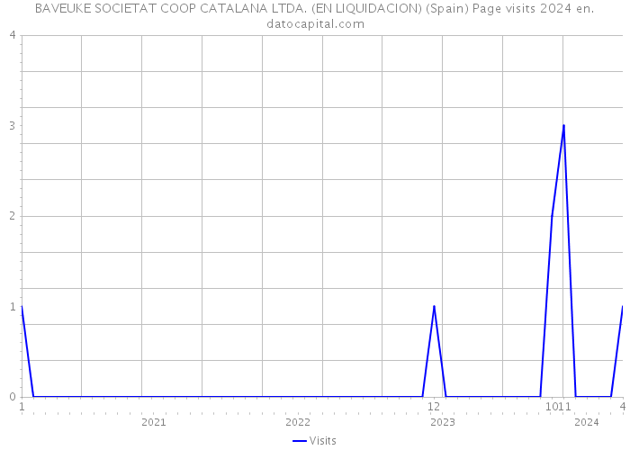 BAVEUKE SOCIETAT COOP CATALANA LTDA. (EN LIQUIDACION) (Spain) Page visits 2024 