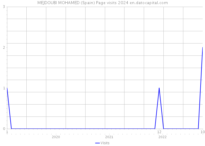 MEJDOUBI MOHAMED (Spain) Page visits 2024 