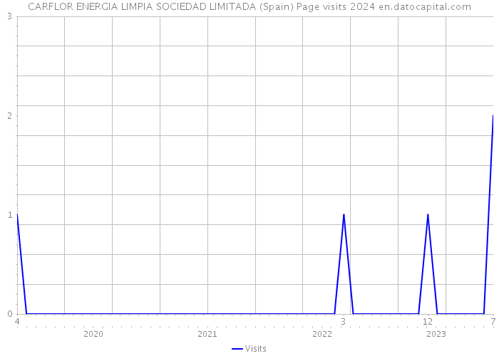 CARFLOR ENERGIA LIMPIA SOCIEDAD LIMITADA (Spain) Page visits 2024 
