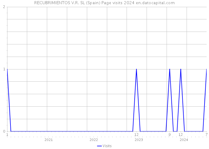 RECUBRIMIENTOS V.R. SL (Spain) Page visits 2024 