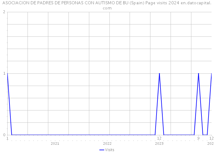 ASOCIACION DE PADRES DE PERSONAS CON AUTISMO DE BU (Spain) Page visits 2024 