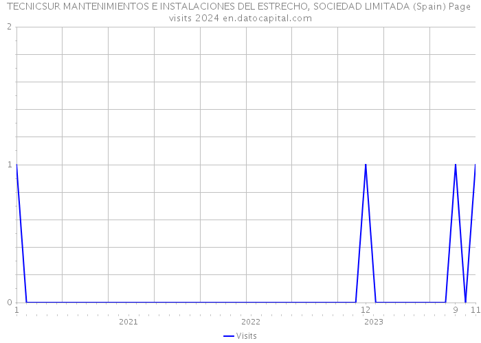 TECNICSUR MANTENIMIENTOS E INSTALACIONES DEL ESTRECHO, SOCIEDAD LIMITADA (Spain) Page visits 2024 