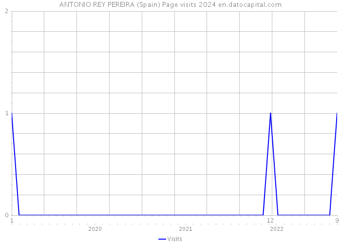 ANTONIO REY PEREIRA (Spain) Page visits 2024 