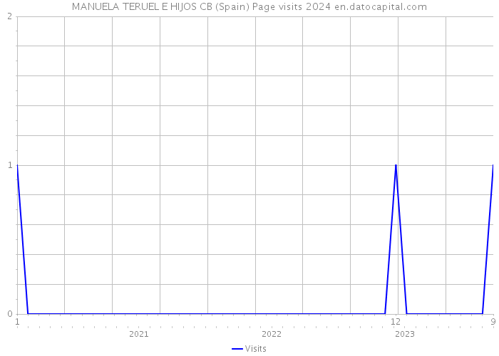 MANUELA TERUEL E HIJOS CB (Spain) Page visits 2024 