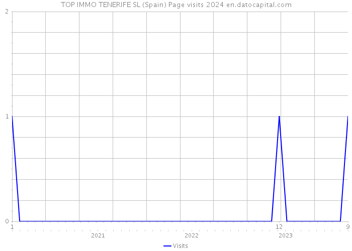 TOP IMMO TENERIFE SL (Spain) Page visits 2024 