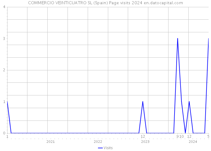 COMMERCIO VEINTICUATRO SL (Spain) Page visits 2024 