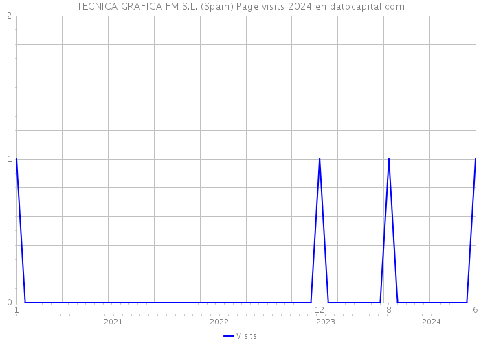 TECNICA GRAFICA FM S.L. (Spain) Page visits 2024 