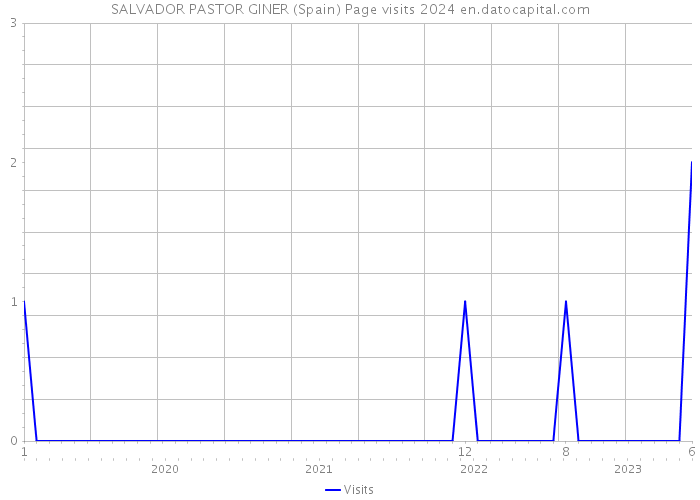 SALVADOR PASTOR GINER (Spain) Page visits 2024 