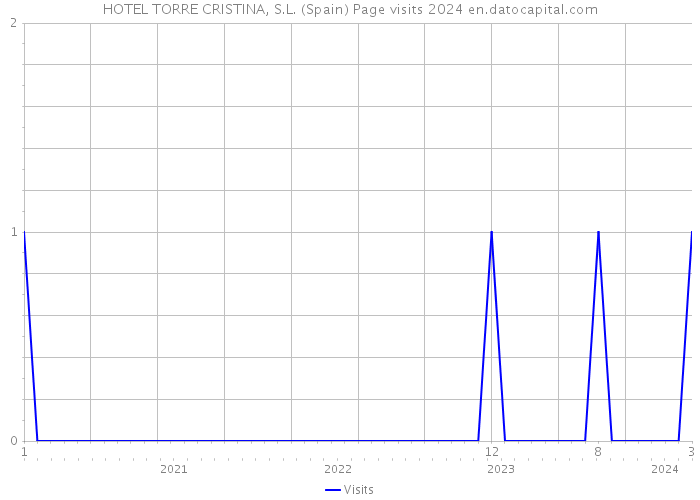 HOTEL TORRE CRISTINA, S.L. (Spain) Page visits 2024 