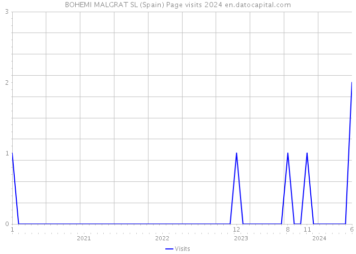 BOHEMI MALGRAT SL (Spain) Page visits 2024 