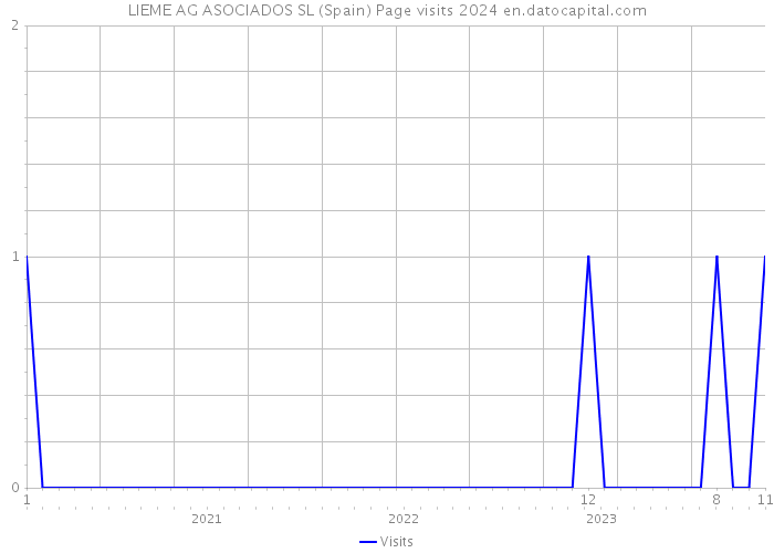 LIEME AG ASOCIADOS SL (Spain) Page visits 2024 