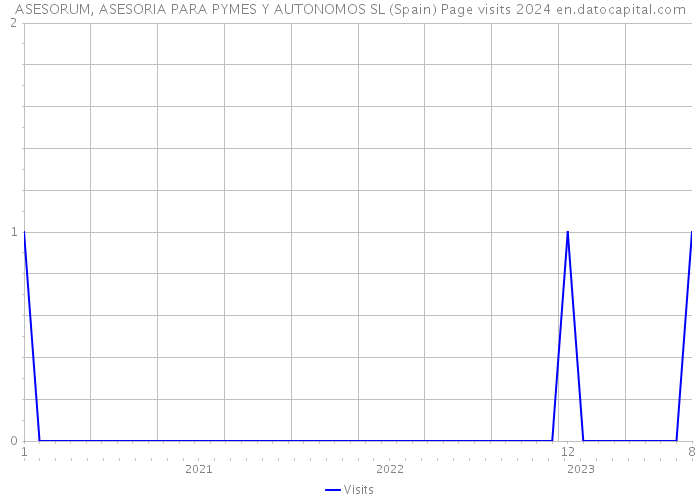 ASESORUM, ASESORIA PARA PYMES Y AUTONOMOS SL (Spain) Page visits 2024 