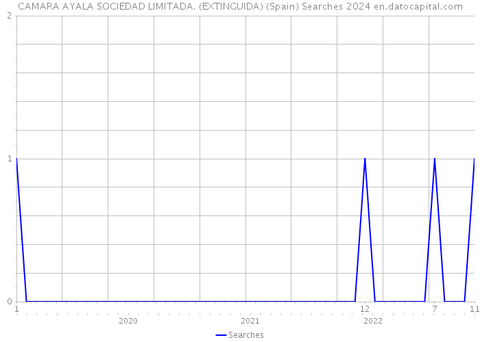 CAMARA AYALA SOCIEDAD LIMITADA. (EXTINGUIDA) (Spain) Searches 2024 