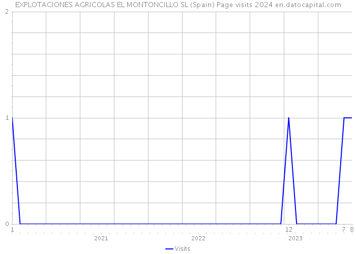 EXPLOTACIONES AGRICOLAS EL MONTONCILLO SL (Spain) Page visits 2024 