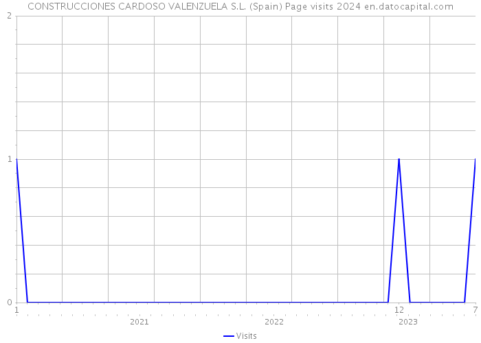 CONSTRUCCIONES CARDOSO VALENZUELA S.L. (Spain) Page visits 2024 