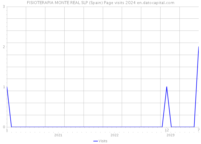 FISIOTERAPIA MONTE REAL SLP (Spain) Page visits 2024 