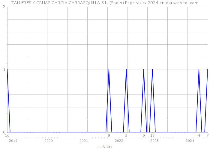 TALLERES Y GRUAS GARCIA CARRASQUILLA S.L. (Spain) Page visits 2024 