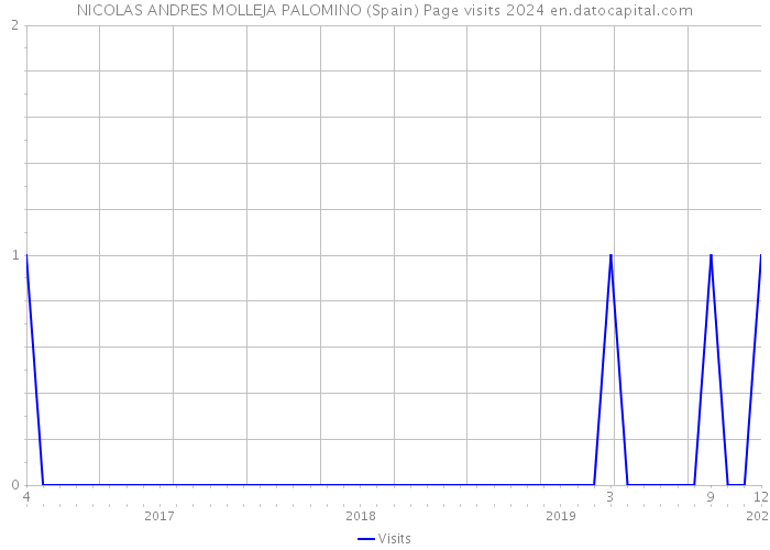 NICOLAS ANDRES MOLLEJA PALOMINO (Spain) Page visits 2024 