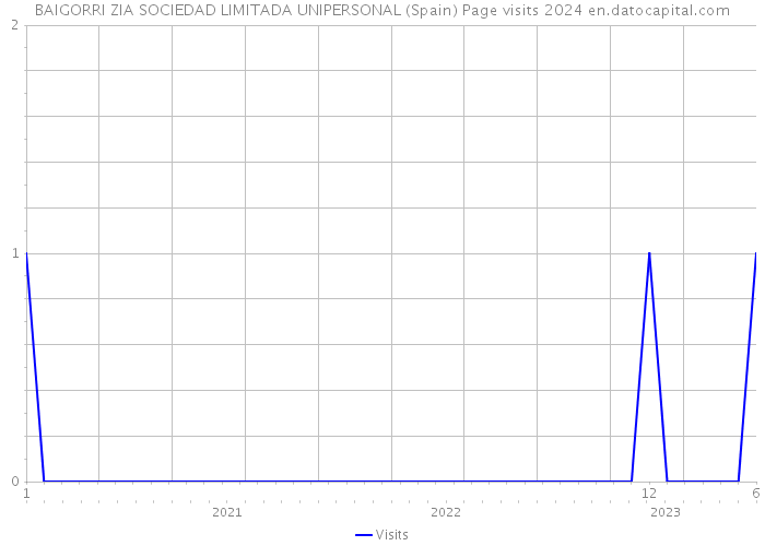 BAIGORRI ZIA SOCIEDAD LIMITADA UNIPERSONAL (Spain) Page visits 2024 