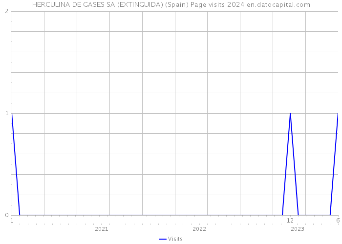 HERCULINA DE GASES SA (EXTINGUIDA) (Spain) Page visits 2024 